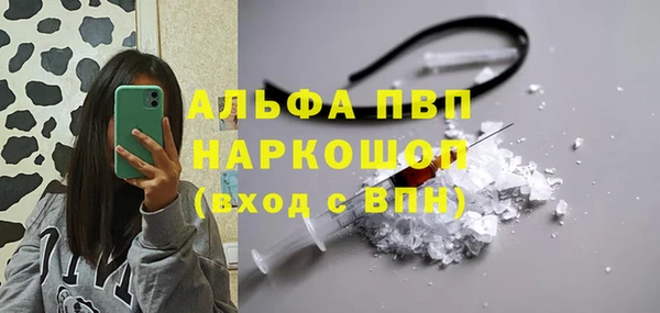 гидра Балахна