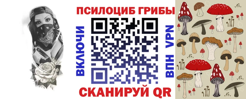 Галлюциногенные грибы Psilocybe Багратионовск